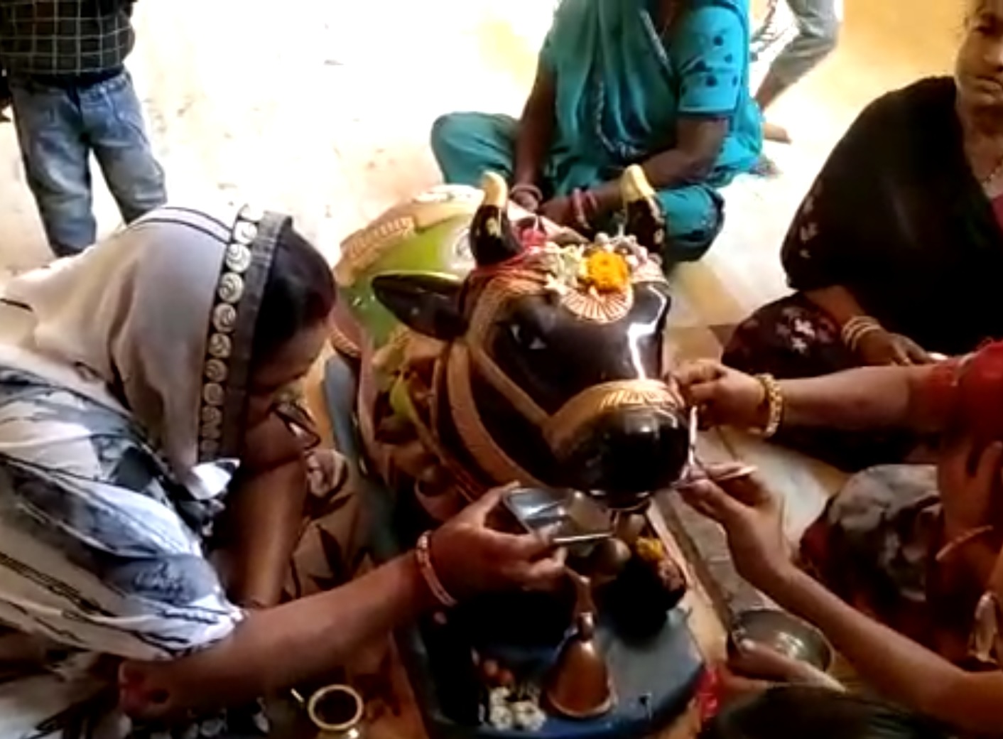 Nandi is drinking milk and water in Shiva temples, there is an influx